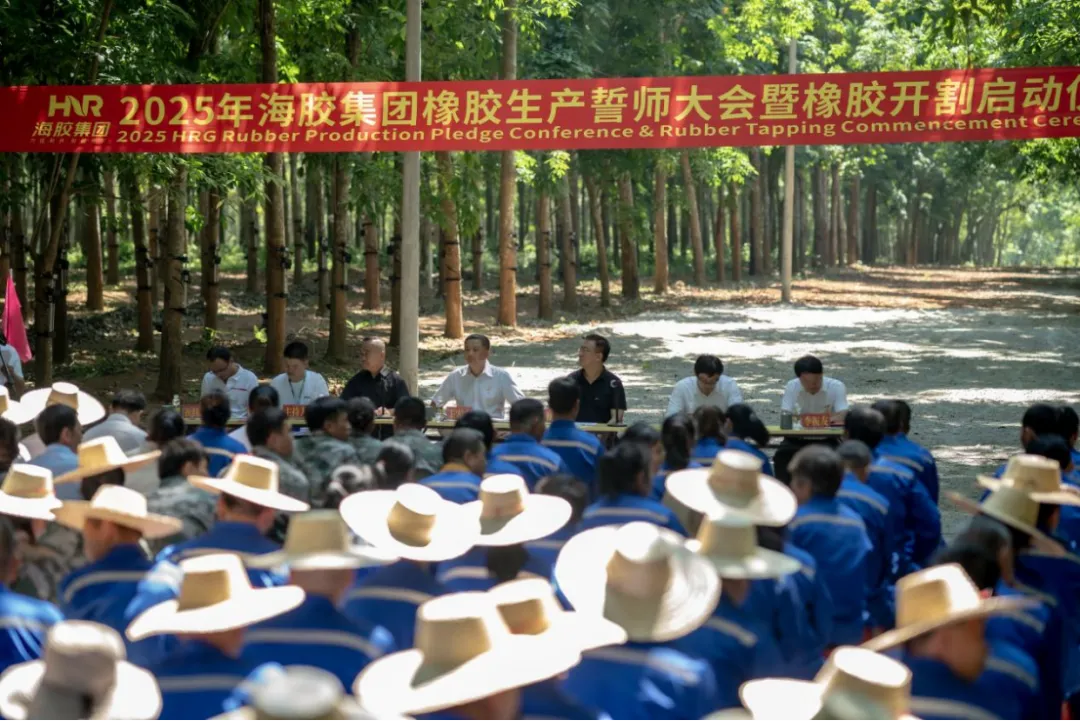 海南橡胶举行2025年橡胶生产誓师大会暨开割启动仪式